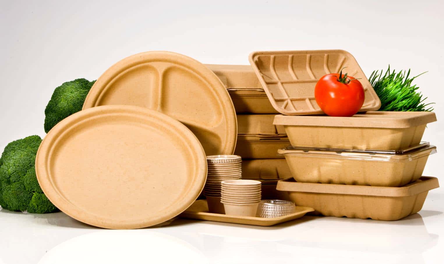 Биоразлагаемая продукция