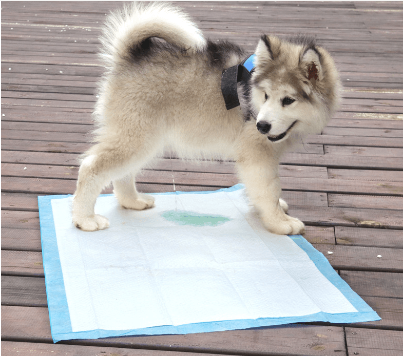 Оборудование для производства одноразовых гигиенических пеленок - изображение 3, детальный вид оборудования