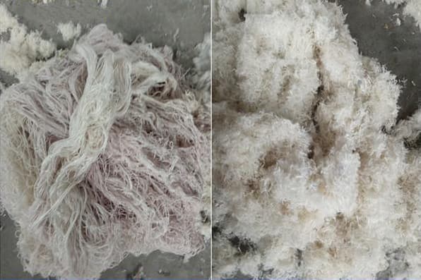 Оборудование для измельчения шерсти - изображение 2, детальный вид оборудования