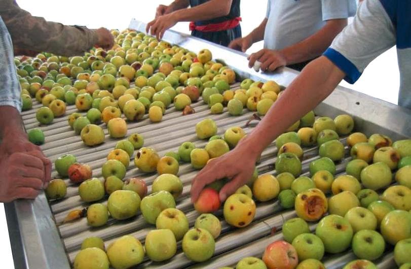 Оборудование для производства яблочного пюре - изображение 1, детальный вид оборудования