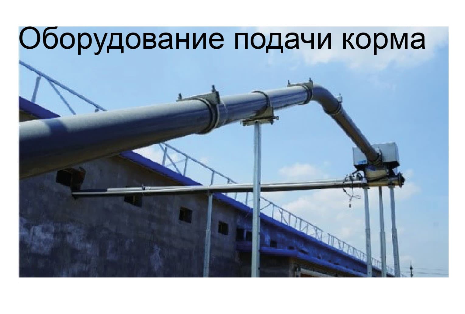 Оборудование для птичника для кур-несушек - изображение 1, детальный вид оборудования