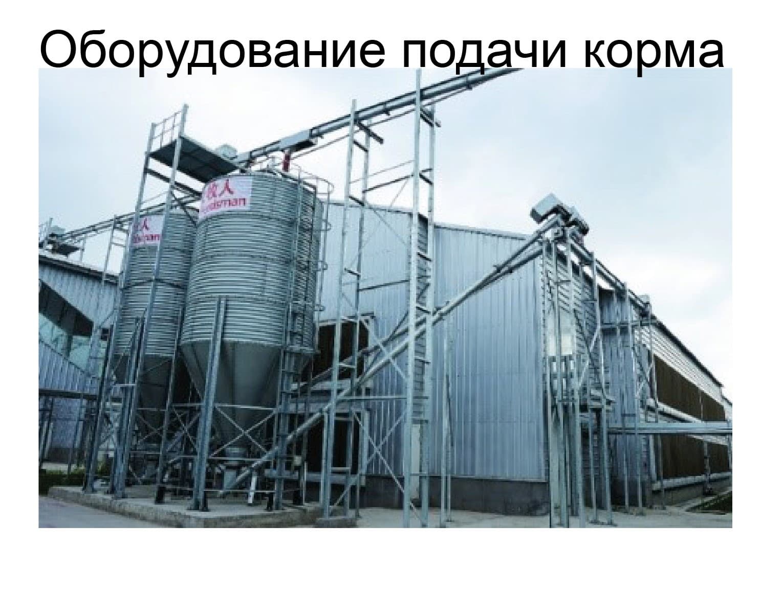 Оборудование для птичника для кур-несушек - изображение 2, детальный вид оборудования