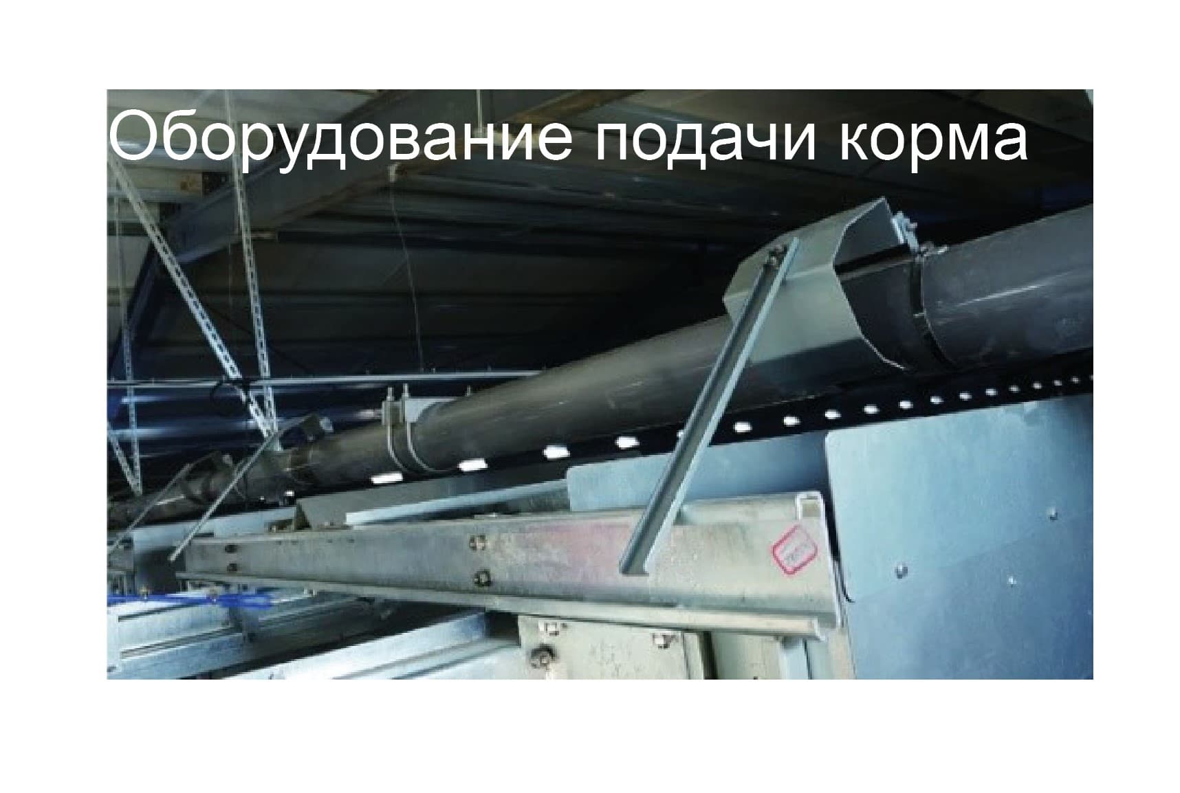 Оборудование для птичника для кур-несушек - изображение 3, детальный вид оборудования