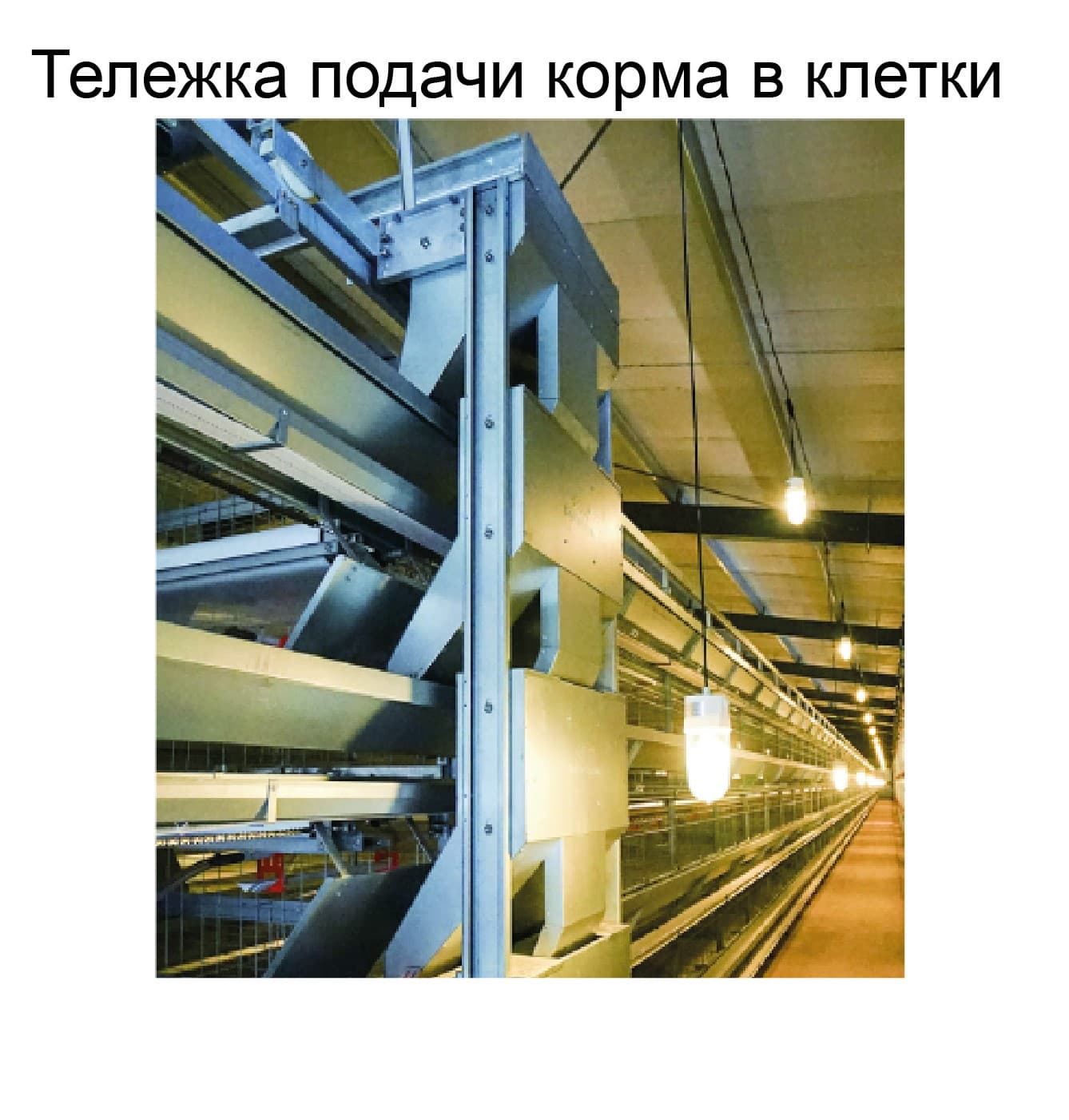 Оборудование для птичника для кур-несушек - изображение 4, детальный вид оборудования