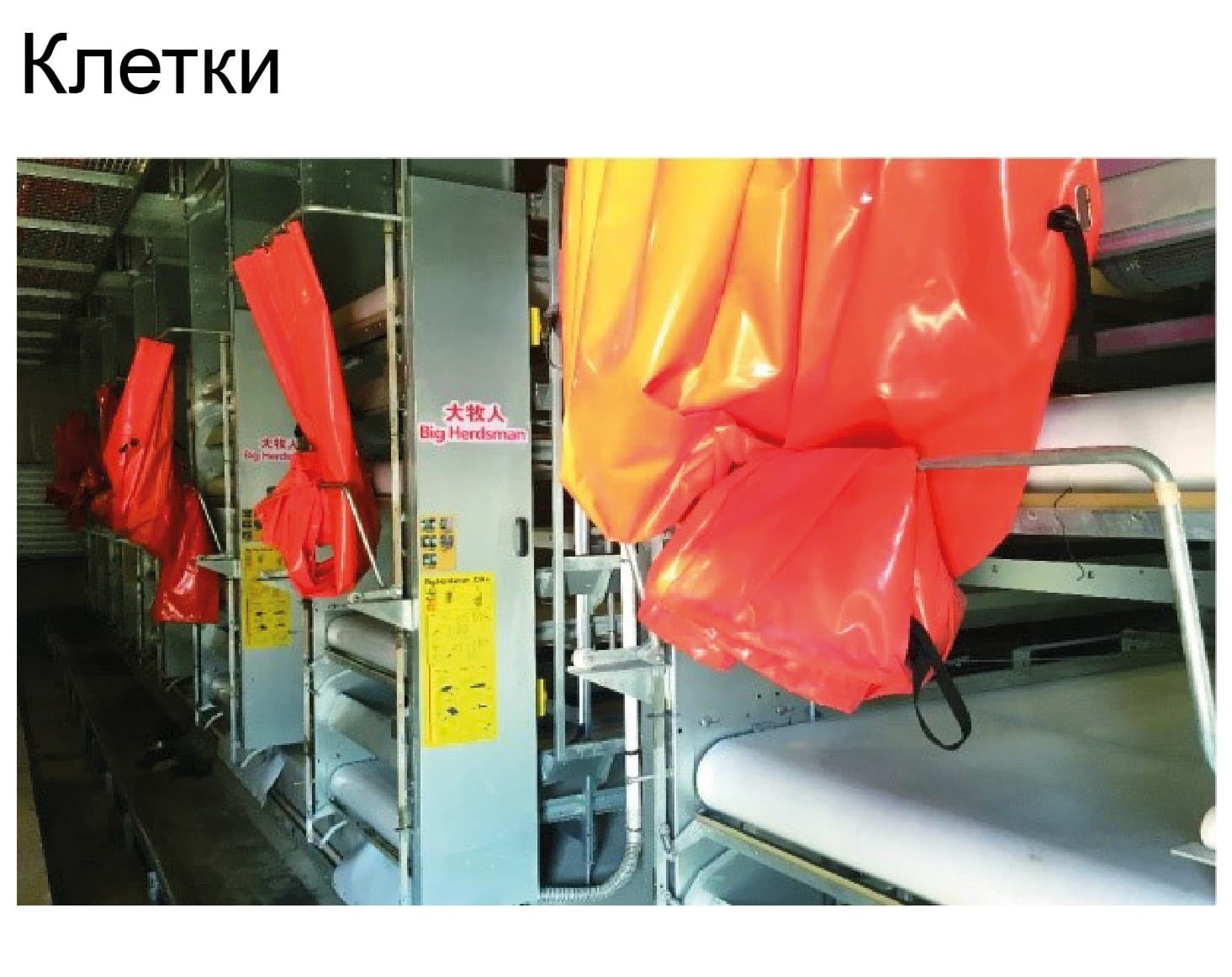 Оборудование для птичника для кур-несушек - изображение 6, детальный вид оборудования