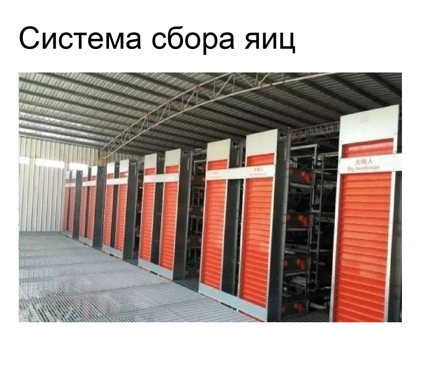 Оборудование для птичника для кур-несушек - изображение 7, детальный вид оборудования