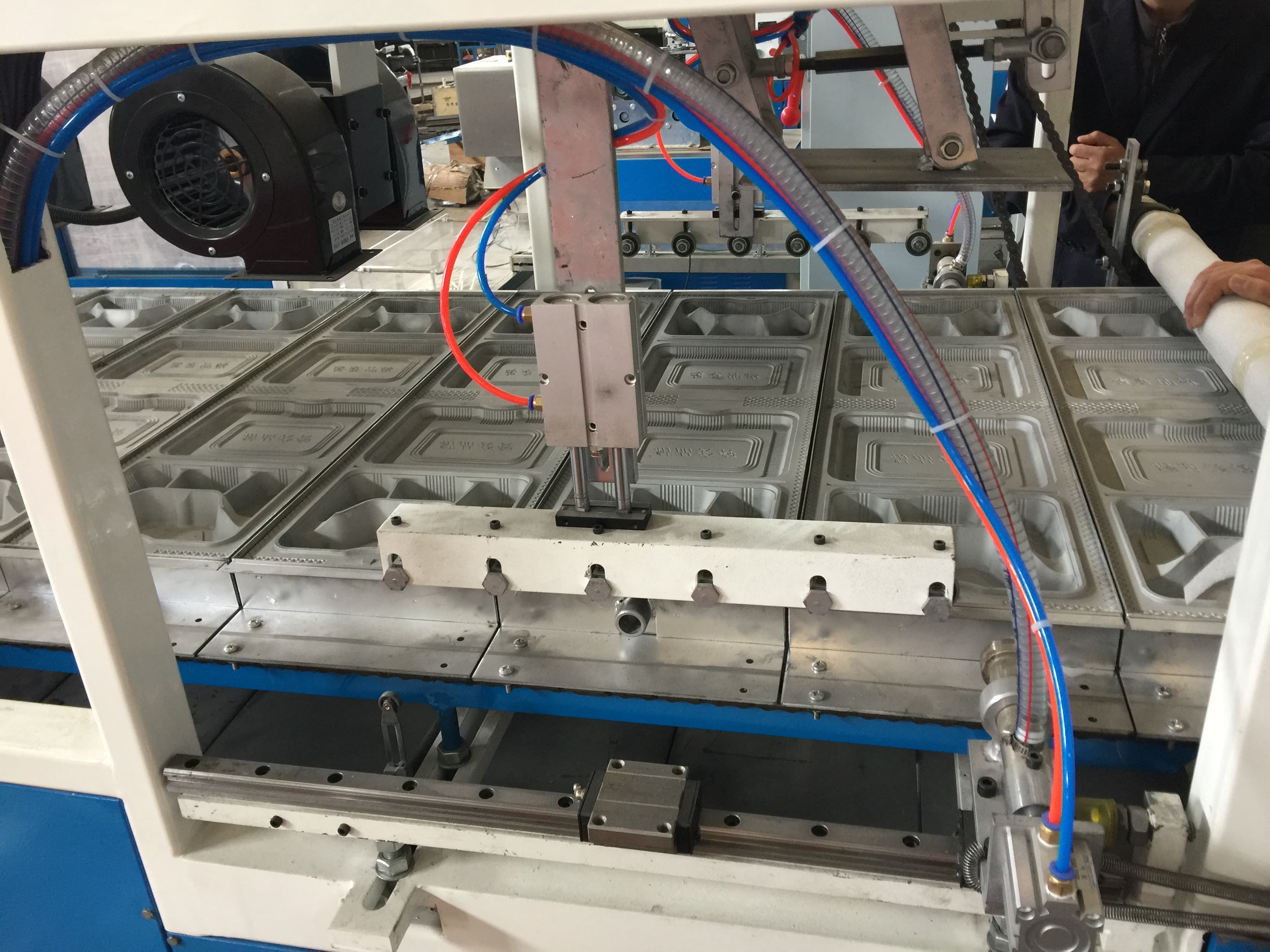 Линия производства биоразлагаемых контейнеров для еды - изображение 1, детальный вид оборудования