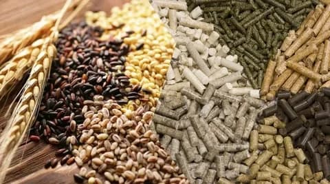 Изображение продукта: Оборудование для производства комбикорма