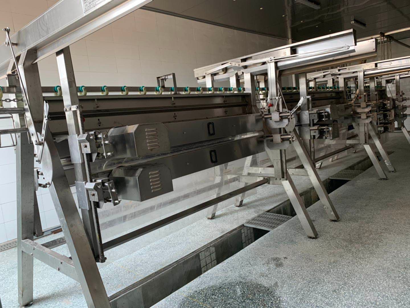 Линия убоя и разрезания - изображение 4, детальный вид оборудования