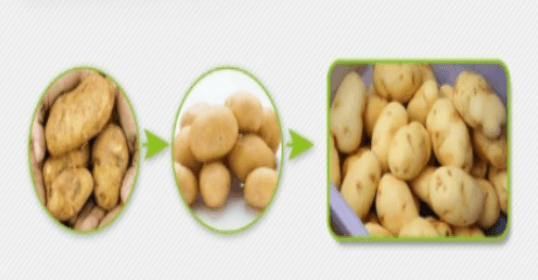 Изображение продукта: Оборудование по мойке и сушке овощей