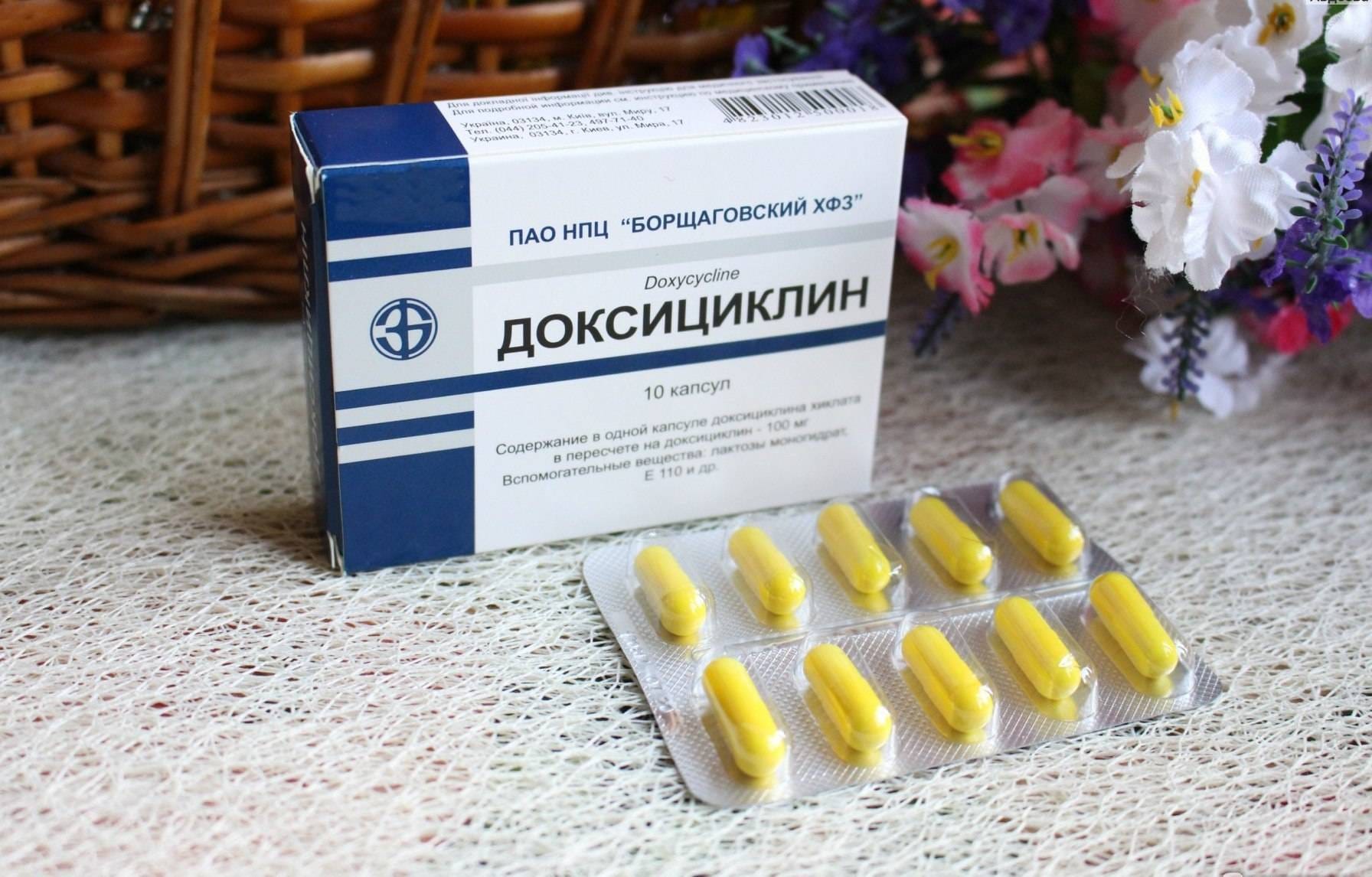 Линия для наполнения и упаковки  капсул - изображение 6, детальный вид оборудования