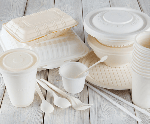 Линия для производства биоразлагаемых изделий - изображение 4, детальный вид оборудования