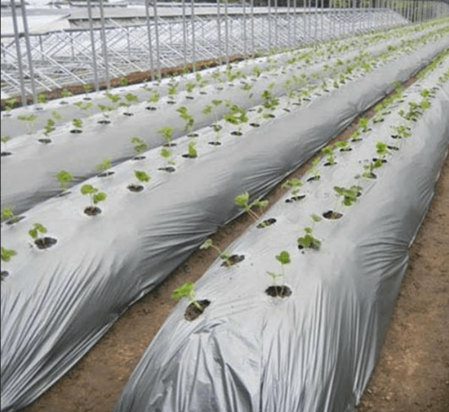 Линия для производства биоразлагаемых изделий - изображение 5, детальный вид оборудования