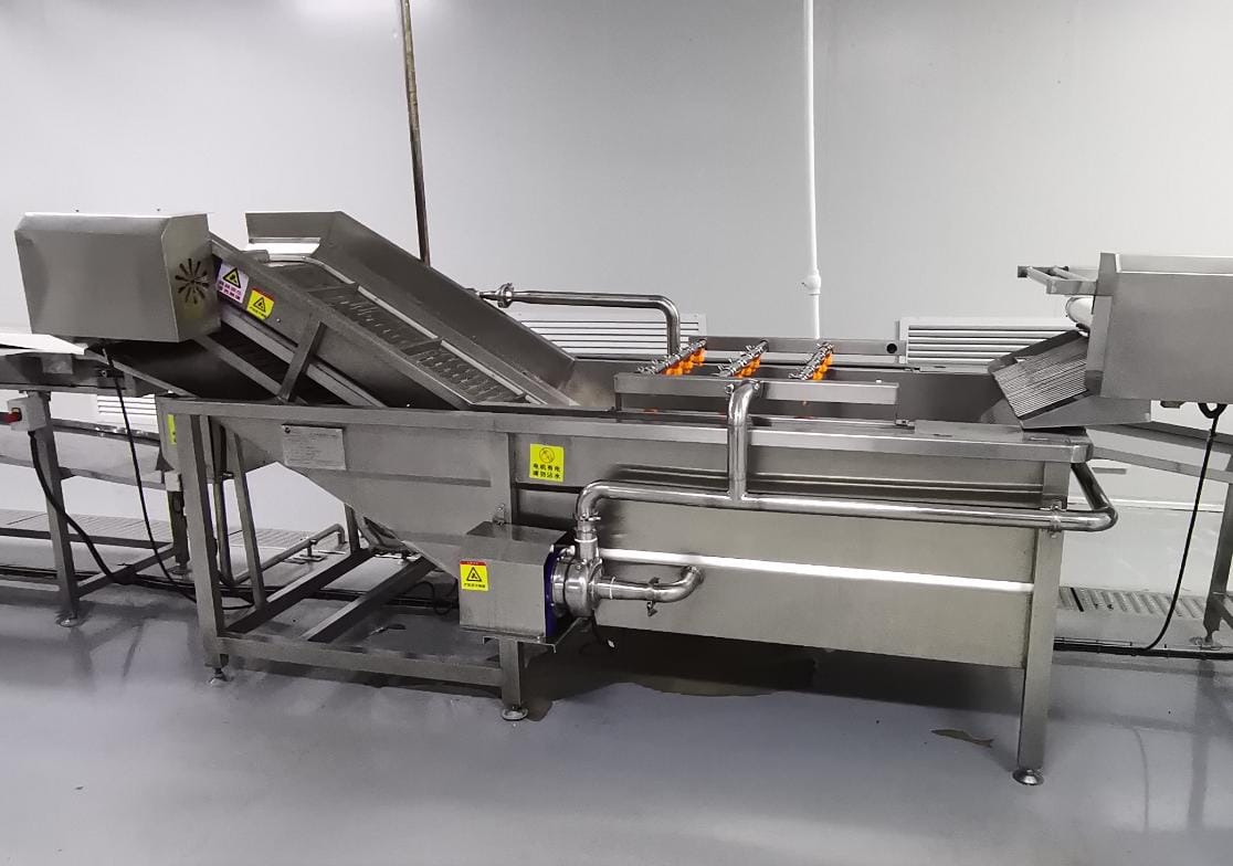 Оборудование для производства яблочного пюре - изображение 5, Подъемник с пузырьковой промывкой 