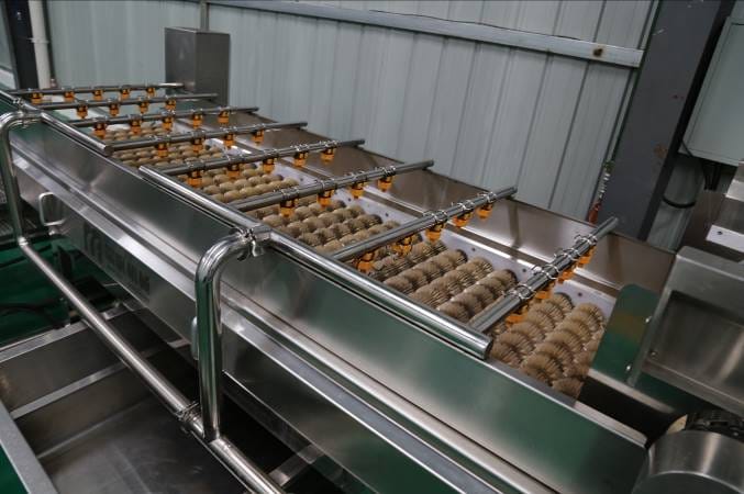 Оборудование для производства яблочного пюре - изображение 8, Устройство промывки со щеткой