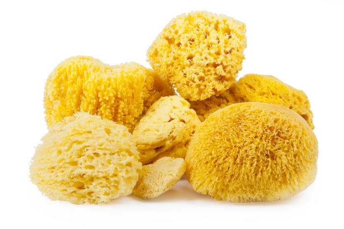 Изображение продукта: Автоматизированная непрерывная линия по производству пенистой морской губки