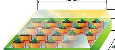 Линия для производства горшков для почвы - изображение 2, детальный вид оборудования