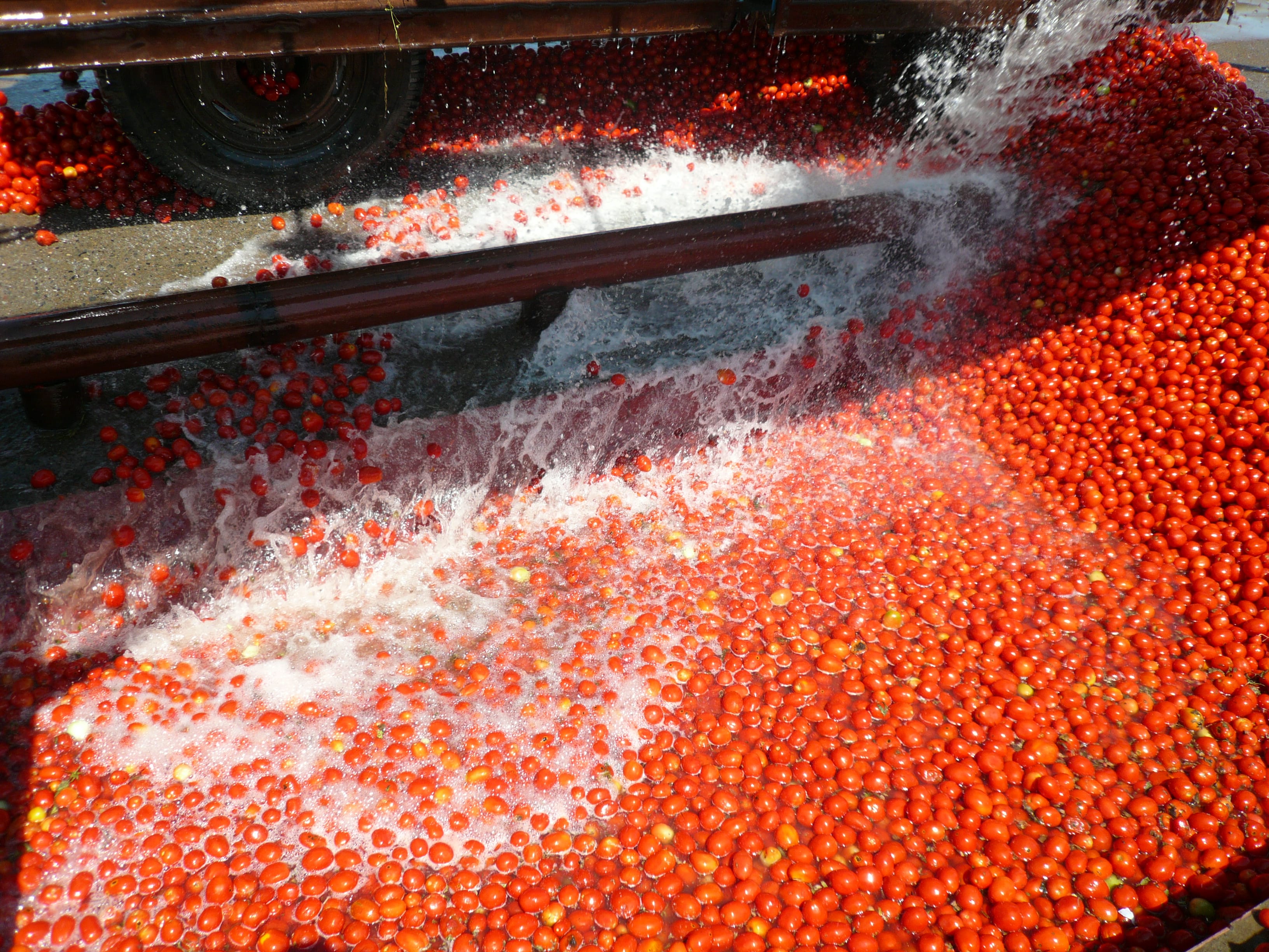 Изображение продукта: Оборудование для производства яблочного пюре