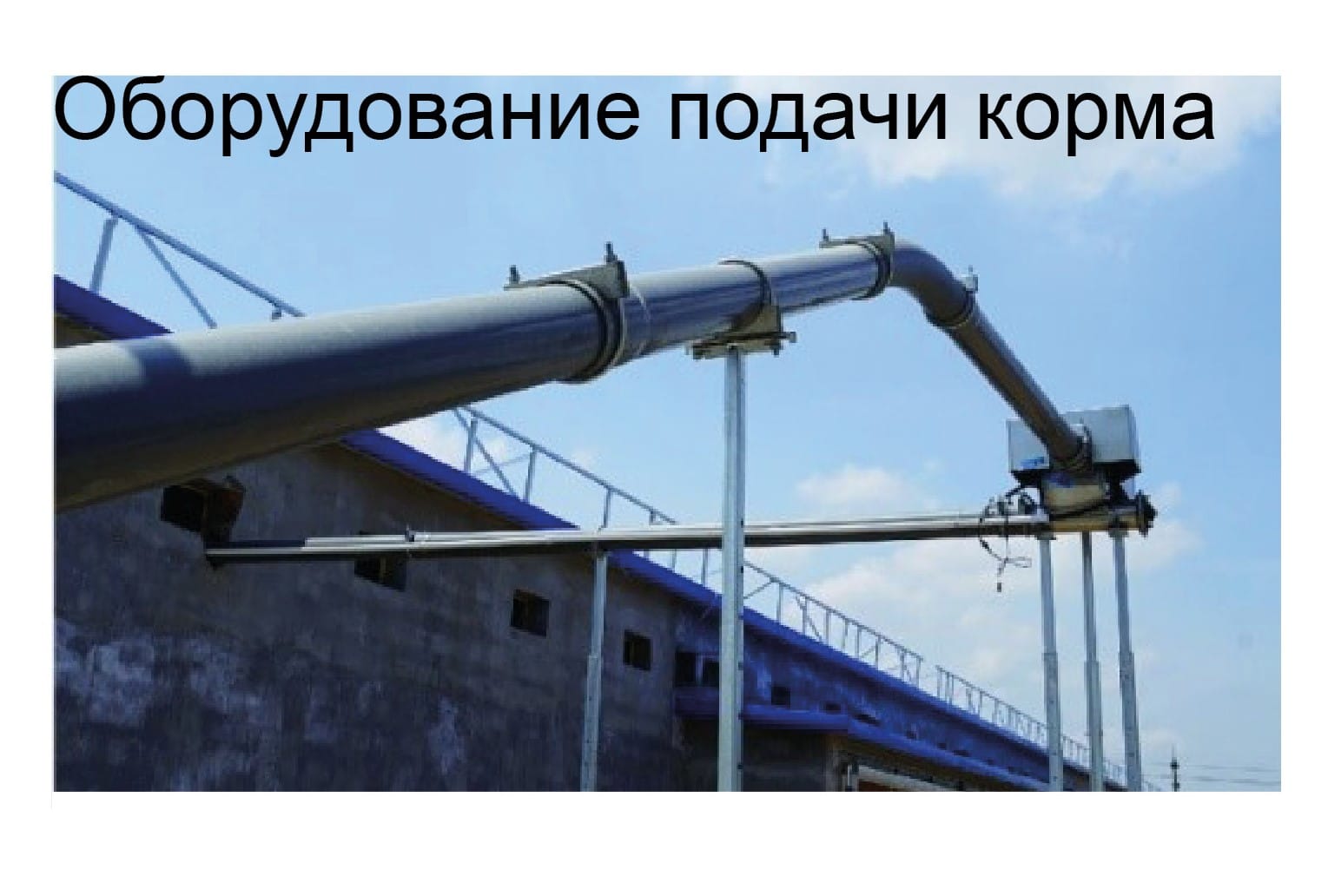 Оборудование для птичника для кур-несушек - изображение 1, детальный вид оборудования