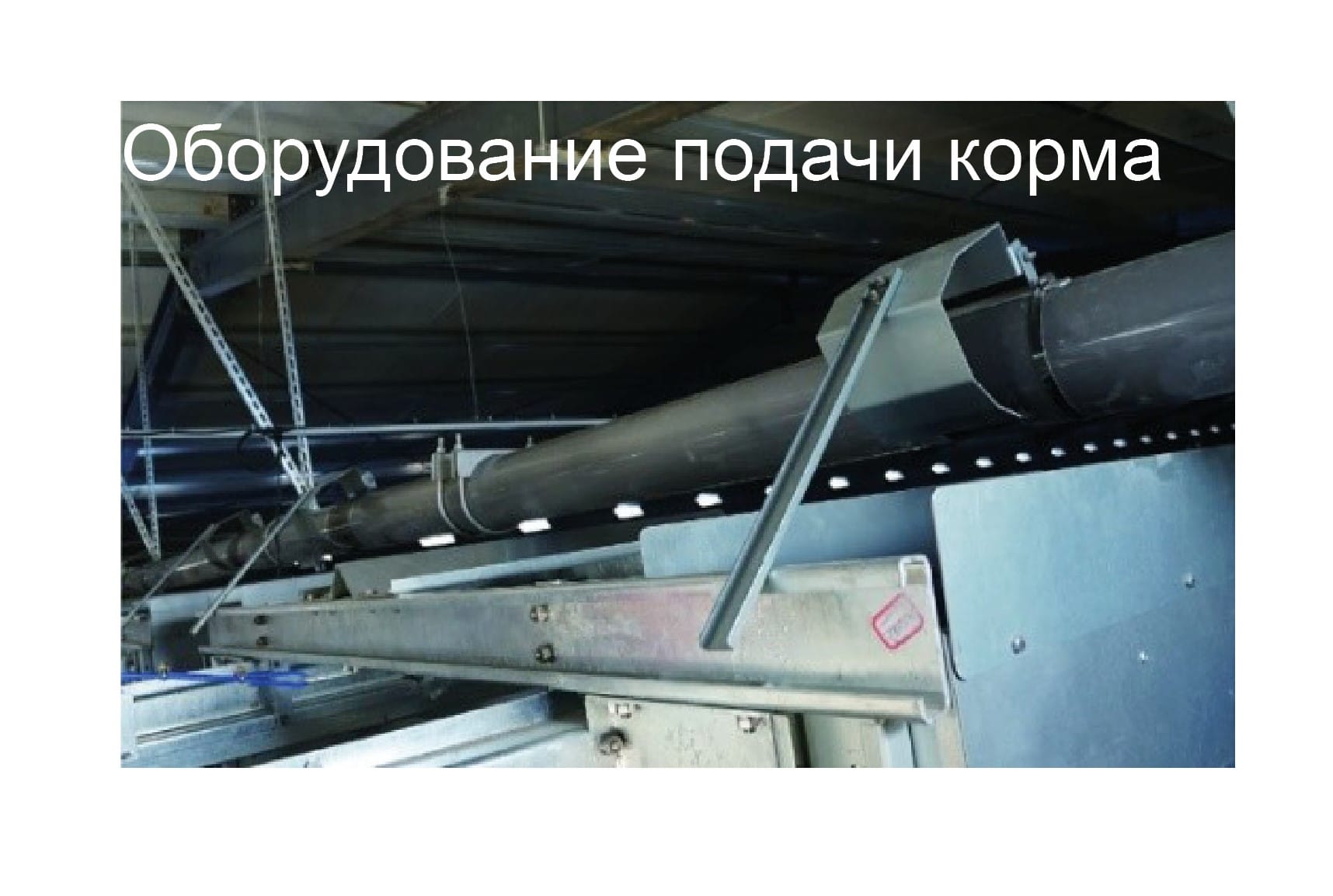 Оборудование для птичника для кур-несушек - изображение 3, детальный вид оборудования