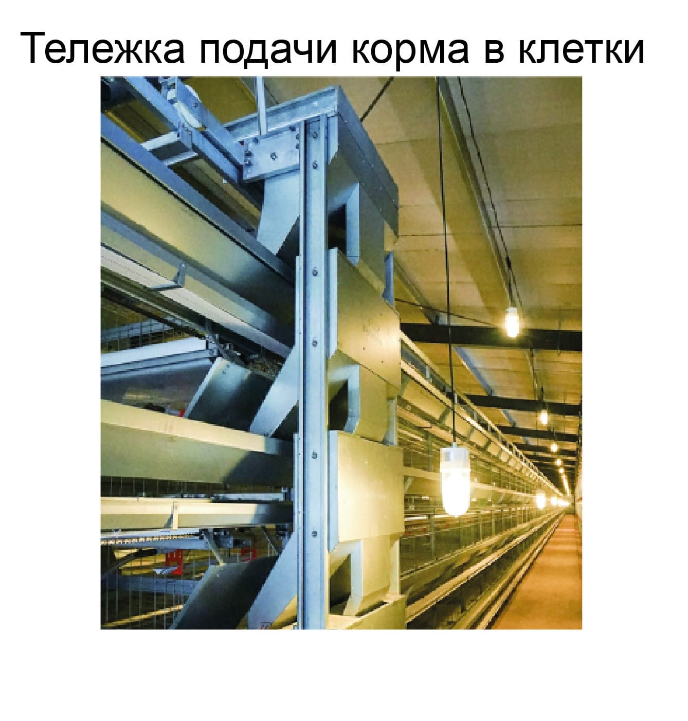 Оборудование для птичника для кур-несушек - изображение 4, детальный вид оборудования