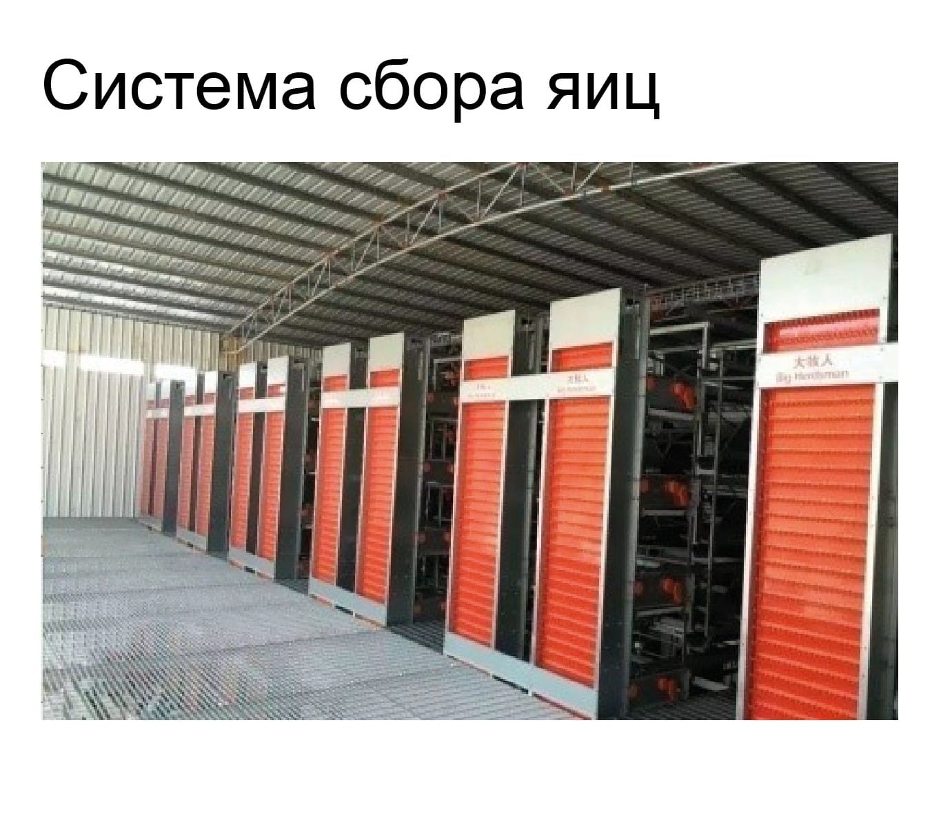 Оборудование для птичника для кур-несушек - изображение 7, детальный вид оборудования