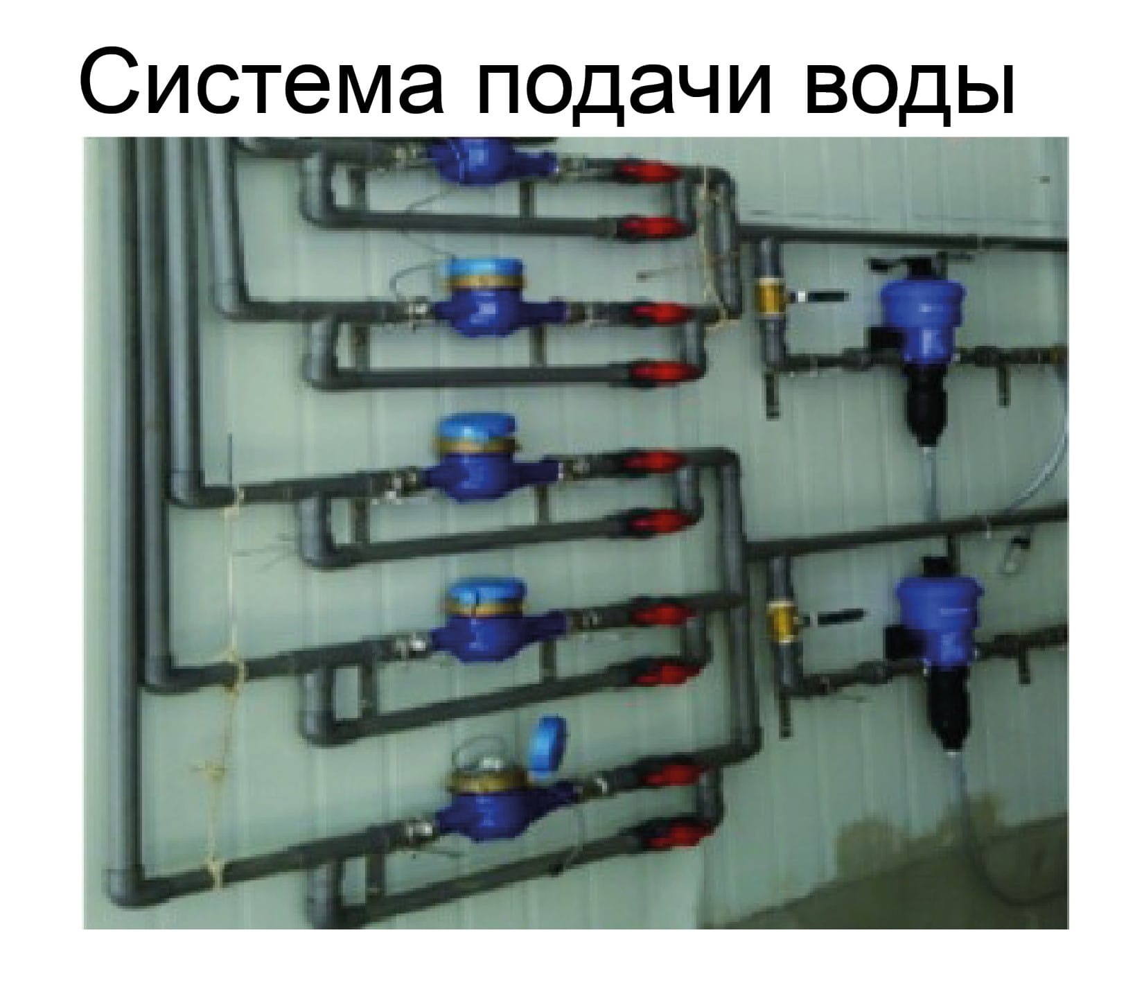 Оборудование для птичника для кур-несушек - изображение 12, детальный вид оборудования