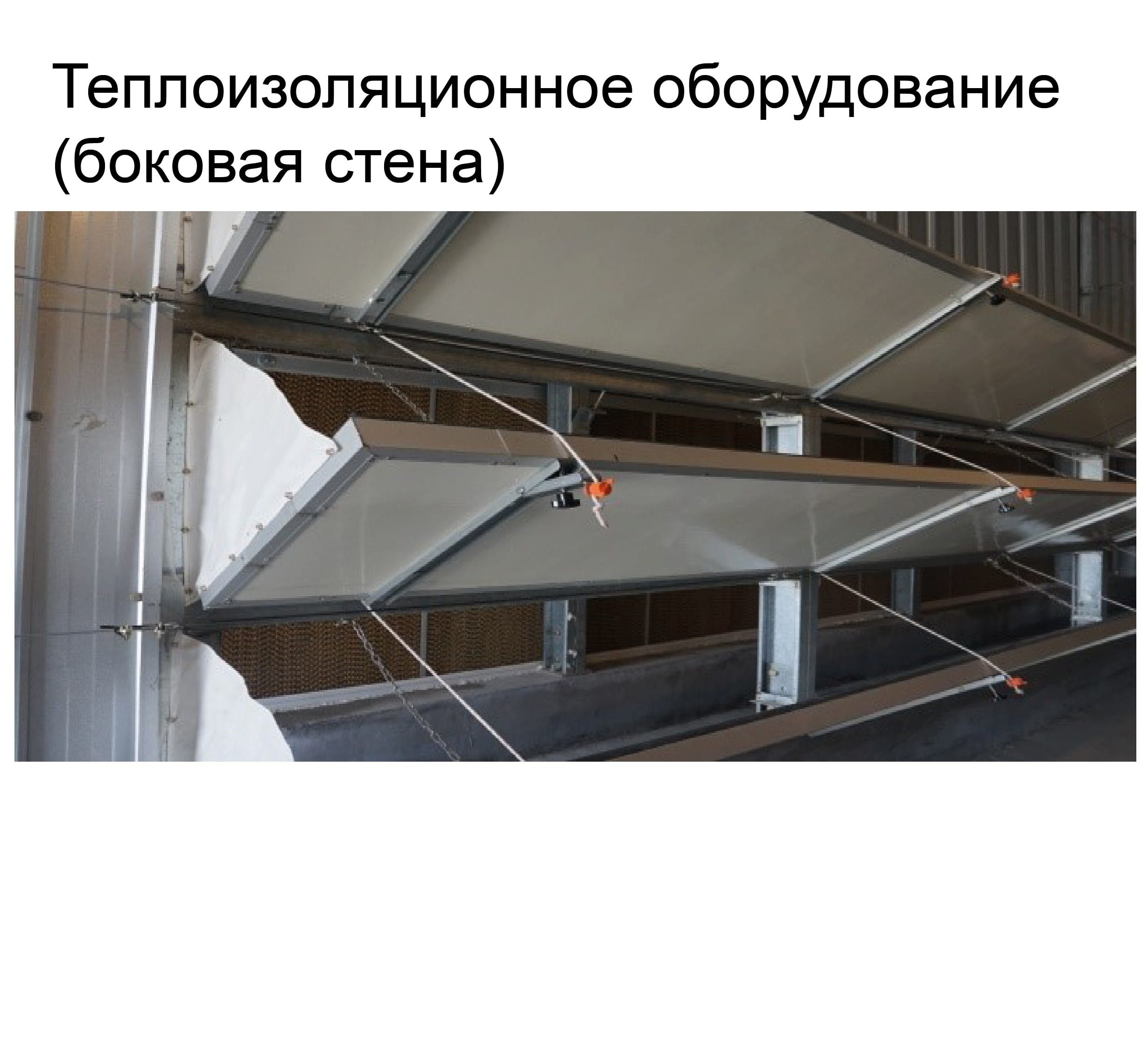 Оборудование для птичника для кур-несушек - изображение 16, детальный вид оборудования