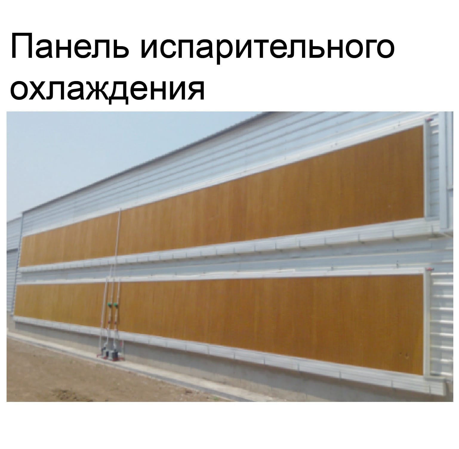 Оборудование для птичника для кур-несушек - изображение 17, детальный вид оборудования