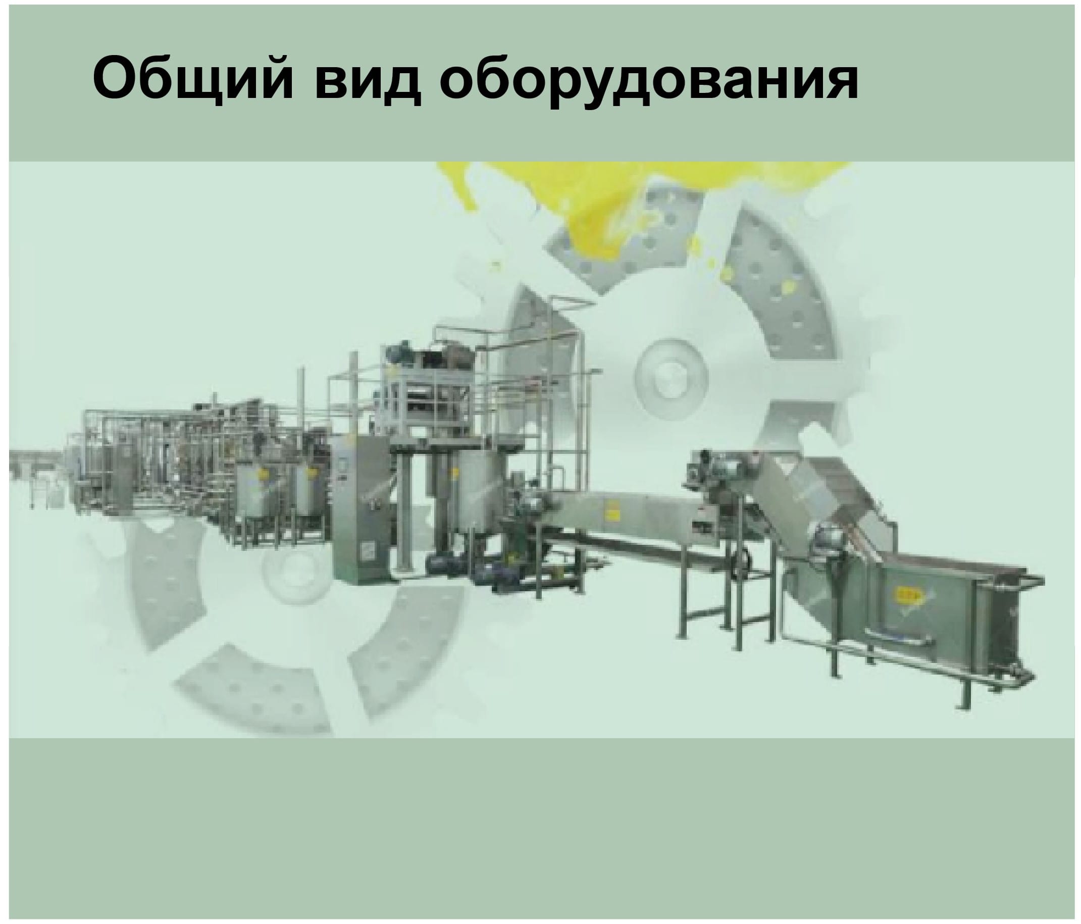 Линия для производства неосветленного сока из свежих яблок производительностью 5000 тонн - изображение 2, детальный вид оборудования