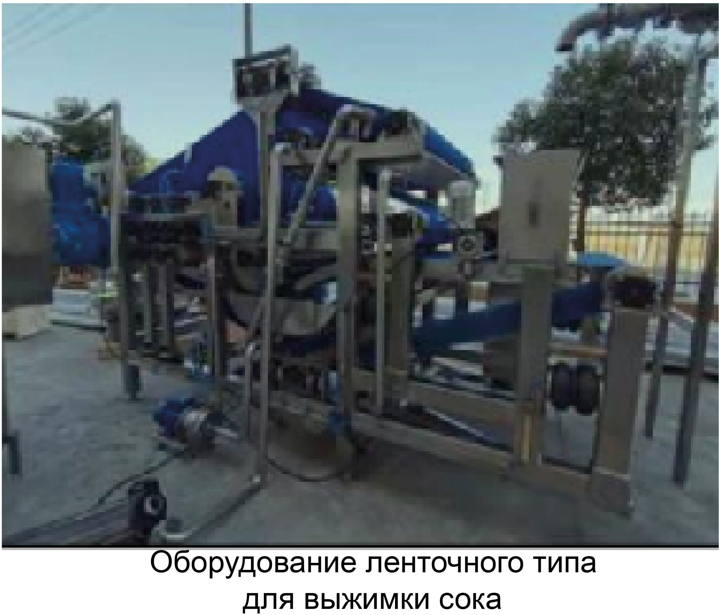 Линия для производства неосветленного сока из свежих яблок производительностью 5000 тонн - изображение 6, детальный вид оборудования