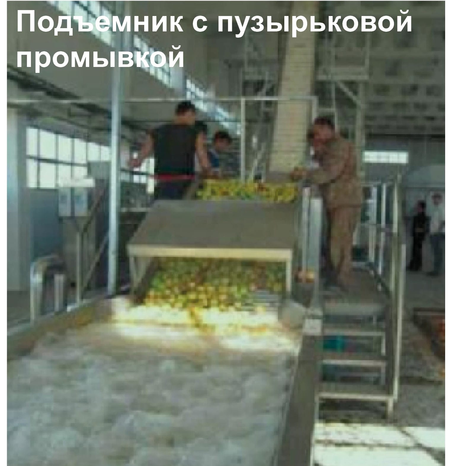 Линия для производства неосветленного сока из свежих яблок производительностью 5000 тонн - изображение 9, детальный вид оборудования