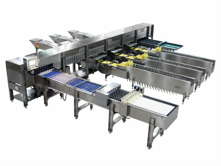 Оборудование для сортировки и упаковки яиц - изображение 2, Оборудование для сортировки и упаковки яиц