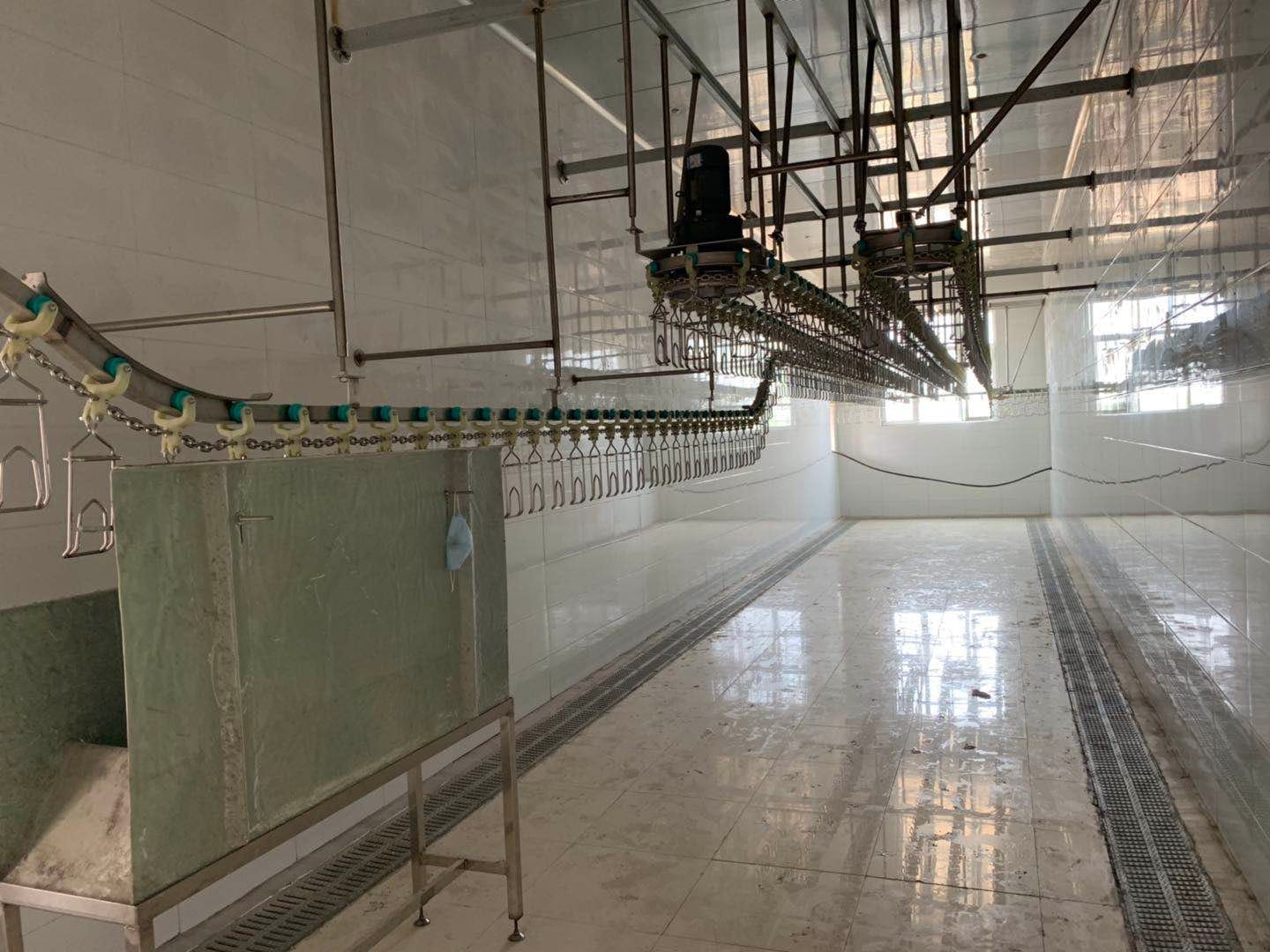 Линия убоя и разрезания - изображение 2, детальный вид оборудования