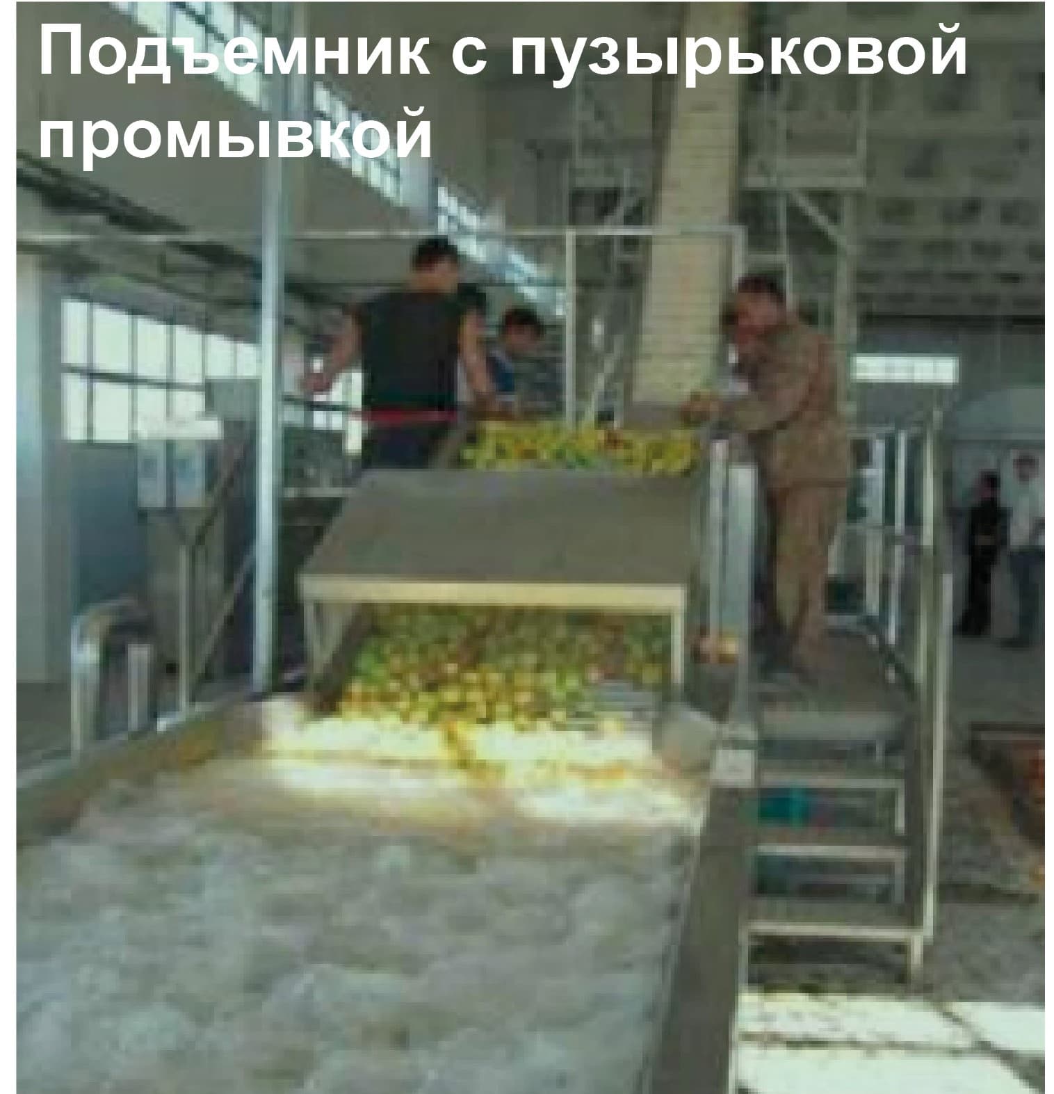 Линия для производства неосветленного сока из свежих яблок производительностью 5000 тонн - изображение 9, детальный вид оборудования