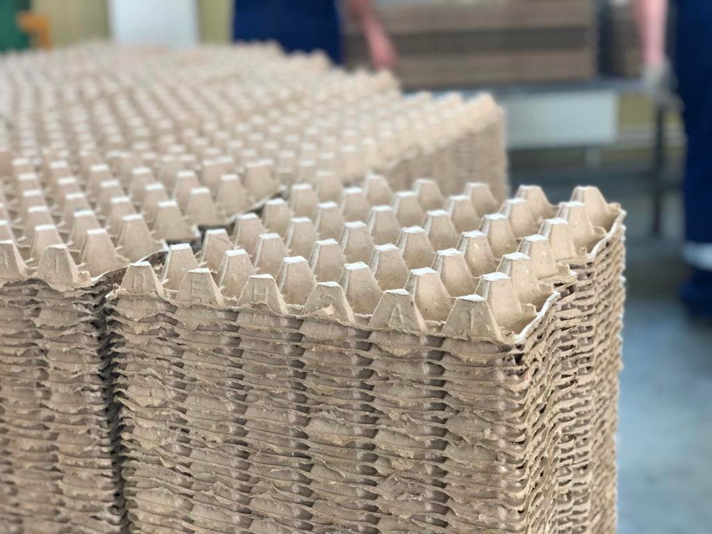 Изображение продукта: Линия для производства бугорчатых лотков для яиц экономичного класса